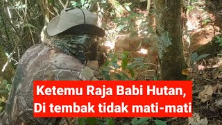 Ketemu Raja Babi Hutan, Di Tembak Tidak Mempan !!! (Episode 1)