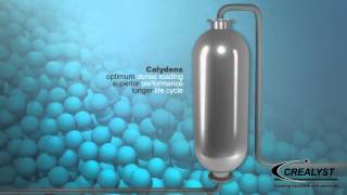 Calydens technology 100% catalyst Dense Loading