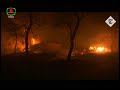 greece wildfire kills dozens in july 2018 pkg mahbub btv on air 24.07.18