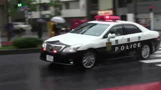 【警察】赤無視044 土砂降りの雨の中、信号無視の違反車を追う白黒パトカー