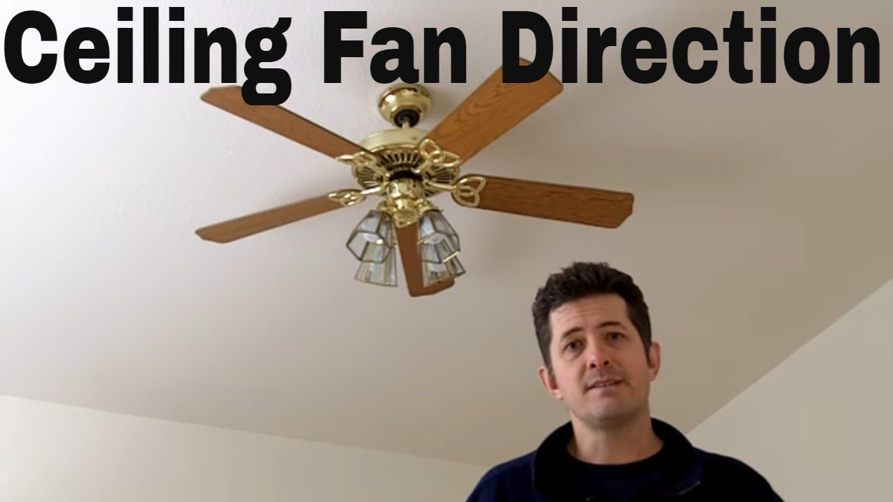 Ceiling Fan Direction Summer Australia Shelly Lighting