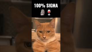 100% sigma