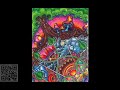 Psytrance Ajja s Full Set At Psy Fi 2018