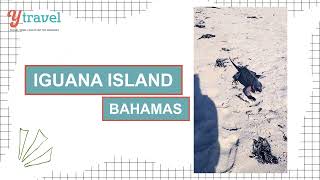 Exuma Islands, Bahamas: A Visit to Iguana Island to see endangered iguanas