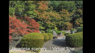 【Japanese Virtual Tour gourmet food / 日本の風景・フード　バーチャルツアー】