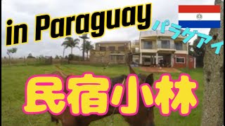 The rumored location is 民宿小林 in Paraguay