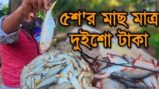 ৫শ'র মাছ মাত্র দুইশো টাকা || ভ্রাম্যমাণ মাছের দোকান || সস্তা দামে মাছ #মাছ #গ্রাম #fish #village