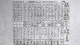 結果分析「日経新春杯」「京成杯」「愛知杯」2021。一頭ずつの敗因。勝因。レース回顧。