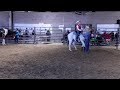 helping an anxious herd bound horse