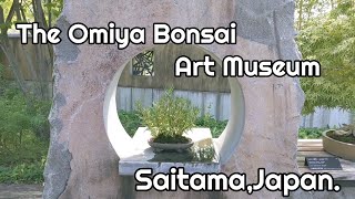 大宮盆栽美術館 さいたま市,  The Omiya Bonsai Art Museum,Saitama,Japan.