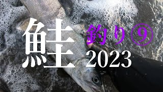 【鮭釣り2023-⑨オホーツク】【ウキルアー激戦区】確かに釣れる　ここの浜はきりがない　今季絶好調のサーフ