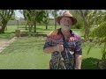 christmas lawn care with seasol organic* iron for deep green lawns – neville the garden gurus