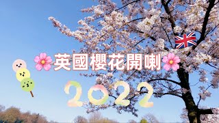 【英國好去處】英國櫻花開喇🌸 倫敦賞櫻 2022 | 一家大細去旅行 有埋泊車資訊 | London Battersea Park Cherry Blossom