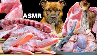 【大食い犬ASMR】生肉と骨付き肉を豪快に爆食いする愛犬5選　総集編14　【飯テロ/MUKBANG】