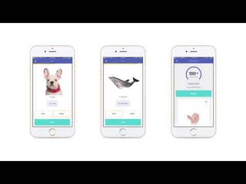 What is Modiolus quizlet?