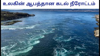 The world's Most Powerful Tidal Current | Explained in tamil | உலகின் ஆபத்தான கடல் நீரோட்டம் |