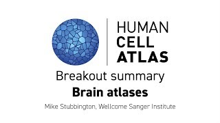 Hinxton 2018 - Breakout summary: Brain atlases