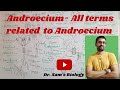 Androecium- All terms related to Androecium