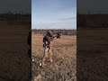 ukrainian 🇺🇦 soldier fires izhmash ak74 full auto ukraine ‎سلاح ‎كلاشنكوف