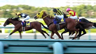 2022.10.23　阪神11R　菊花賞　芝3000m　アスクビクターモア