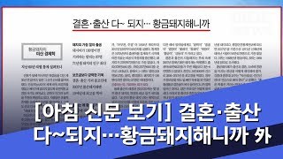 [아침 신문 보기] 결혼·출산 다~되지…황금돼지해니까 外 (2019.01.05/뉴스투데이/MBC)