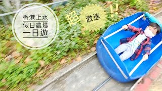 香港親子遊【上水 • 假日農場】人工機動遊戲、動物零距離