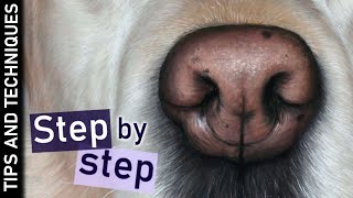 How to draw a dog nose in pastels | Step by step tutorial