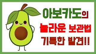 이렇게 간단한걸...아보카도의 놀라운 보관법!!🥑 | Awesome way to preserve Avocado!! | 생활영어 | 영어회화 | 간단영어 | 밤톨채널 |