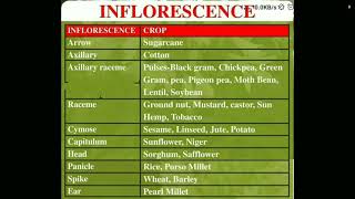 Inflorescence of different agriculture crops