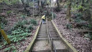 【慈眼寺公園 | かごしま自然百選】清らかな渓流と豊かな緑が広がる自然遊歩道  鹿児島市の指定文化財・慈眼寺跡周辺に広がる公園  2025.1.5 #waterfall #valley