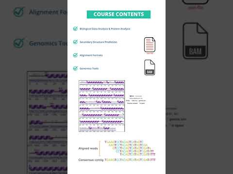 Basic bioinformatician course in R