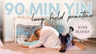 90 Minute Long Hold Yin Yoga With Blocks (Beginner Yin Yoga Course Bonus Class)