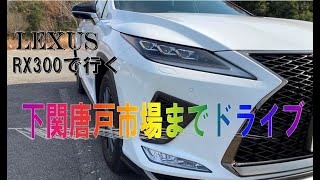 愛車レクサスRX300に乗ってお出かけ（下関唐戸市場までドライブ）