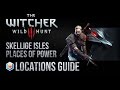 The Witcher 3 Wild Hunt All Skellige Isles Places Of Power Locations Guide