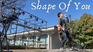 Yamato - Shape Of You by Ed Sheeran - (School Festival Live) 3/11/2022