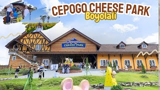 CEPOGO CHEESE PARK | wisata keluarga di cimory 2024