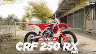 REVIEW HONDA CRF 250 RX l 2019 DOUBLE MUFFLER l RARE ITEM ❗❗