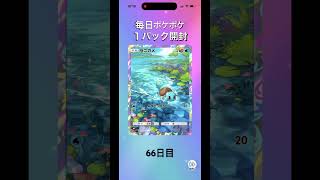 【ポケポケ】毎日1パック開封チャレンジ66日目