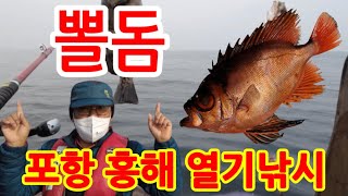 [구독과 좋아요] 주말 포항시 흥해 영일만 볼락, 열기낚시