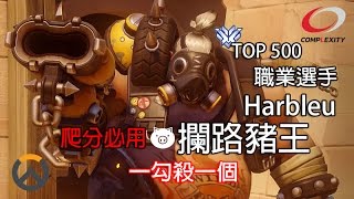 【Overwatch 爬分必用】職業OW選手 - Harbleu : 攔路豬王 - 一勾殺一個 [必看]