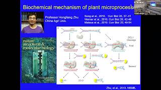 Xiuren Zhang: Regulation of miRNA production in plants