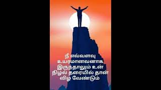 நீ எவ்வளவு உயரமானவனாக. @thaimadi8300 #shortsfeed #tamil #motivation #entertainment #thaimadi #quotes