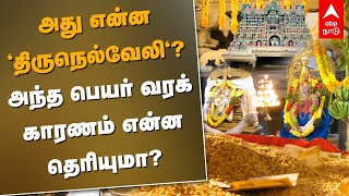 அது என்ன 'திருநெல்வேலி'? அந்த பெயர் வரக் காரணம் என்ன தெரியுமா? | Tirunelveli Nellaiappar Temple