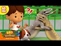 💥 EXCITING ANIMAL FIGHTS! 🥊 Reptiles, Insects & more! 🦎 | Leo the Wildlife Ranger | Kids Cartoons