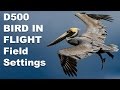 Nikon D500 Birds in Flight Field Usage and Settings