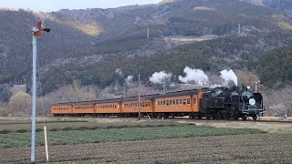 大井川鐵道 1004レ SL急行かわね路号 C11-190号機 抜里カーブ通過