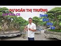 Anh THÙY đưa ra những CS ĐÁNH GIÁ & DỰ ĐOÁN thị trường SANH QUÊ SẮP TỚI mời quý vị cùng lắng nghe .