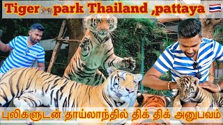 Tiger park pattaiya ,Thailand டைகர் பார்க் பட்டாயா, தாய்லாந்து