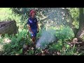 smoking our mango trees retiring in the philippines aussie filipina simple living