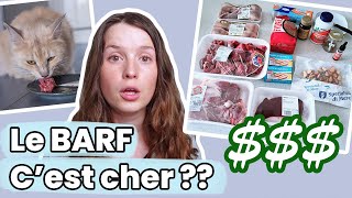 Combien coûte une alimentation crue pour chat ? Quel prix ? | Raw Feeding | BARF | Prey Model